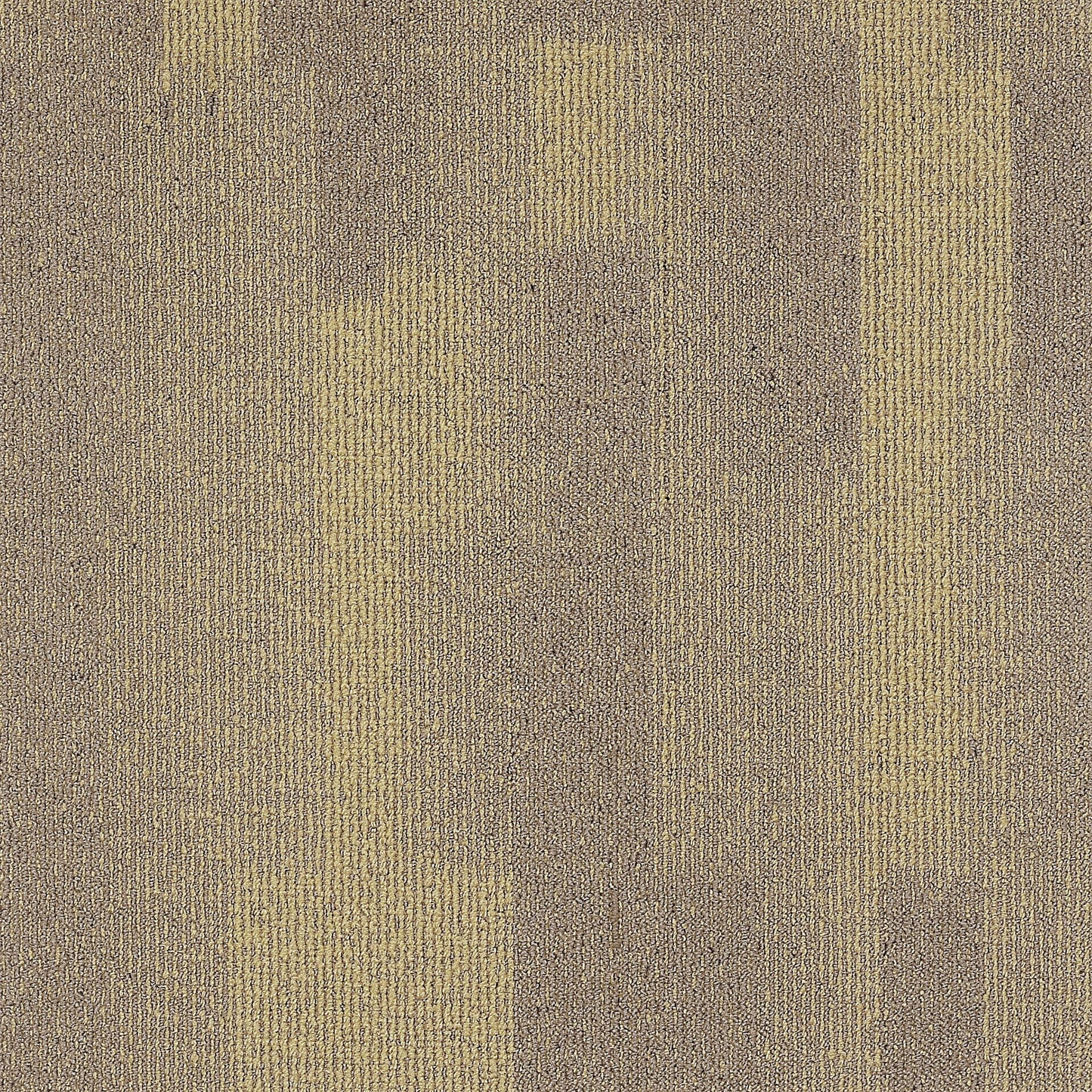 Commercial Carpet-YH800