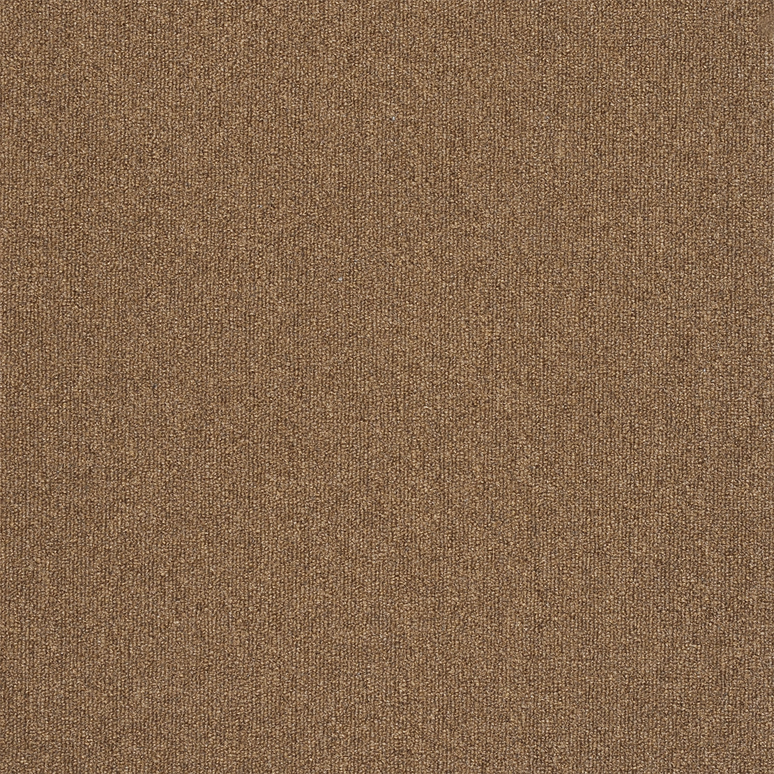 Commercial Carpet-RY-NTH-100