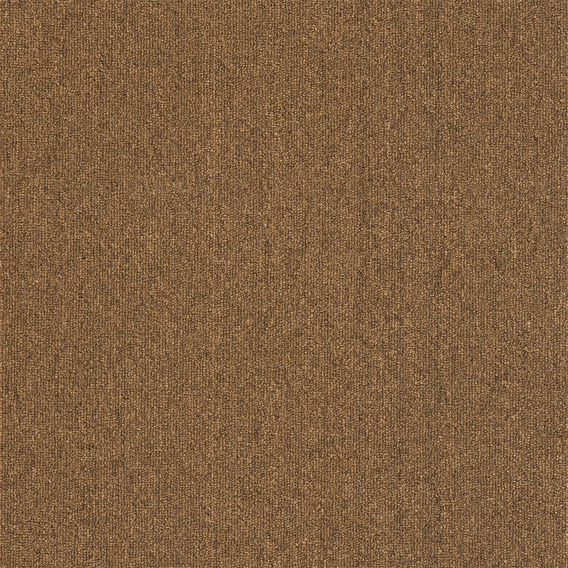 Commercial Carpet-RY-NTH-100